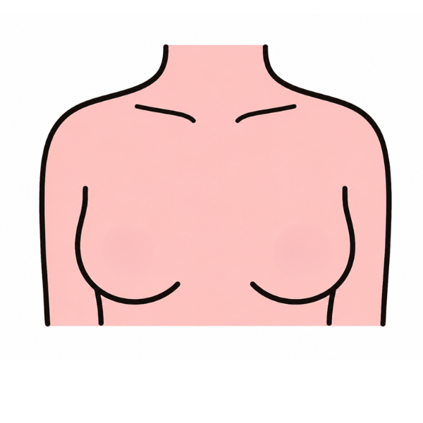 乳がん検診（乳腺エコー）のイラスト