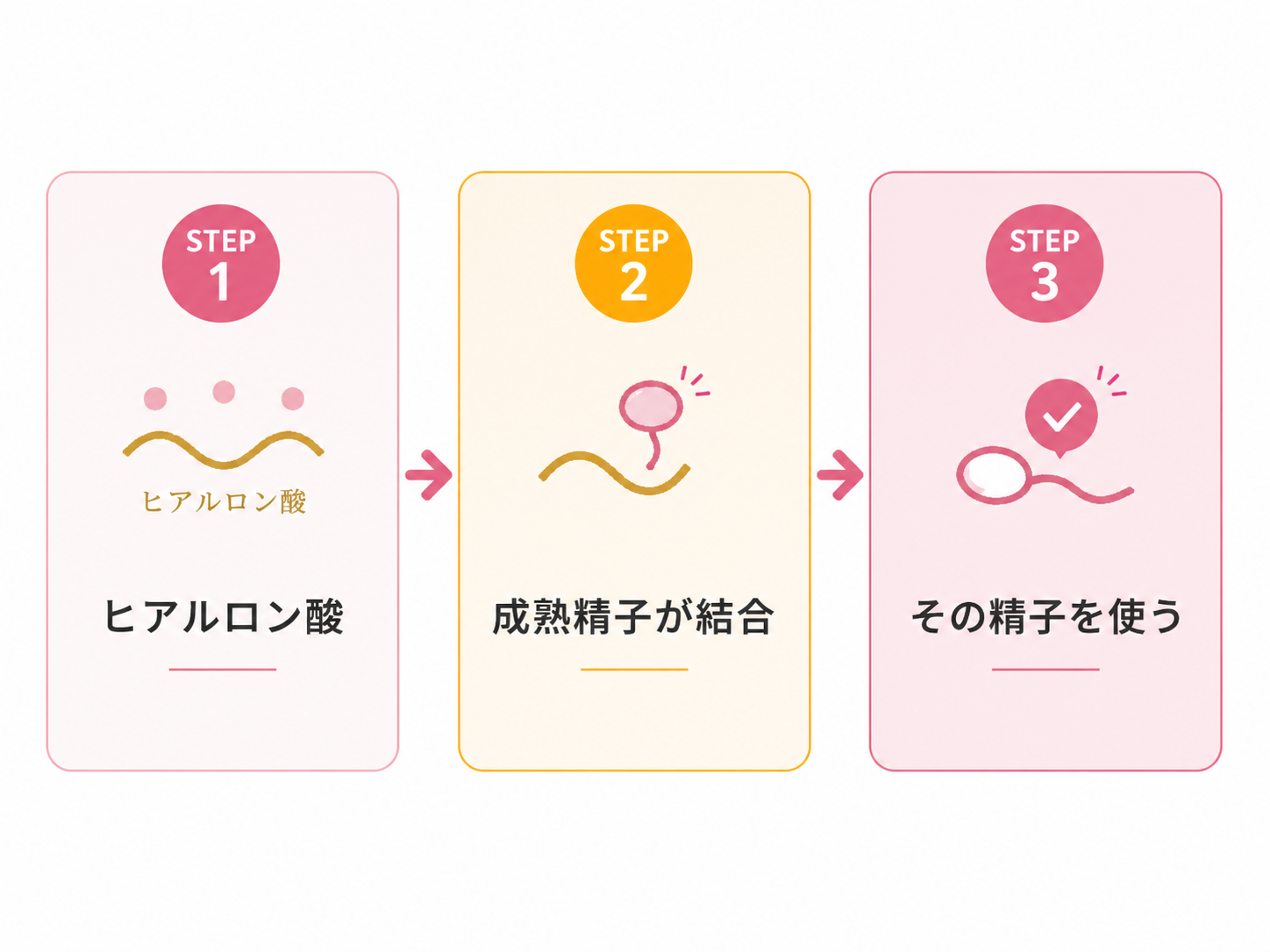 PICSI図解