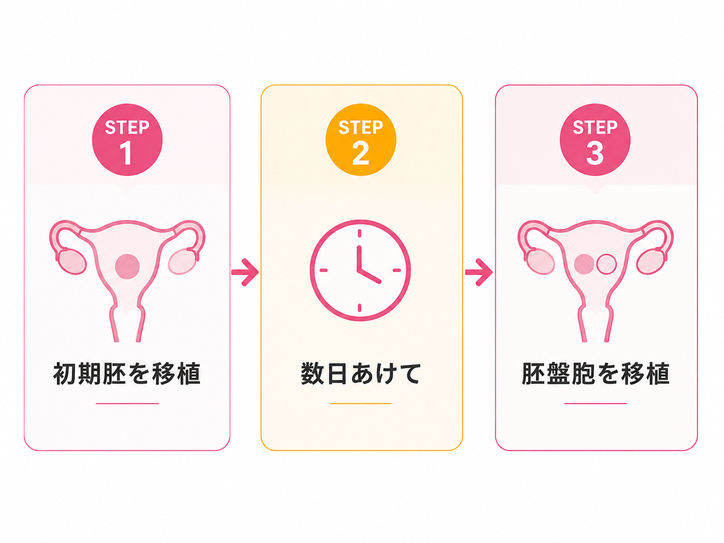 二段階胚移植図解