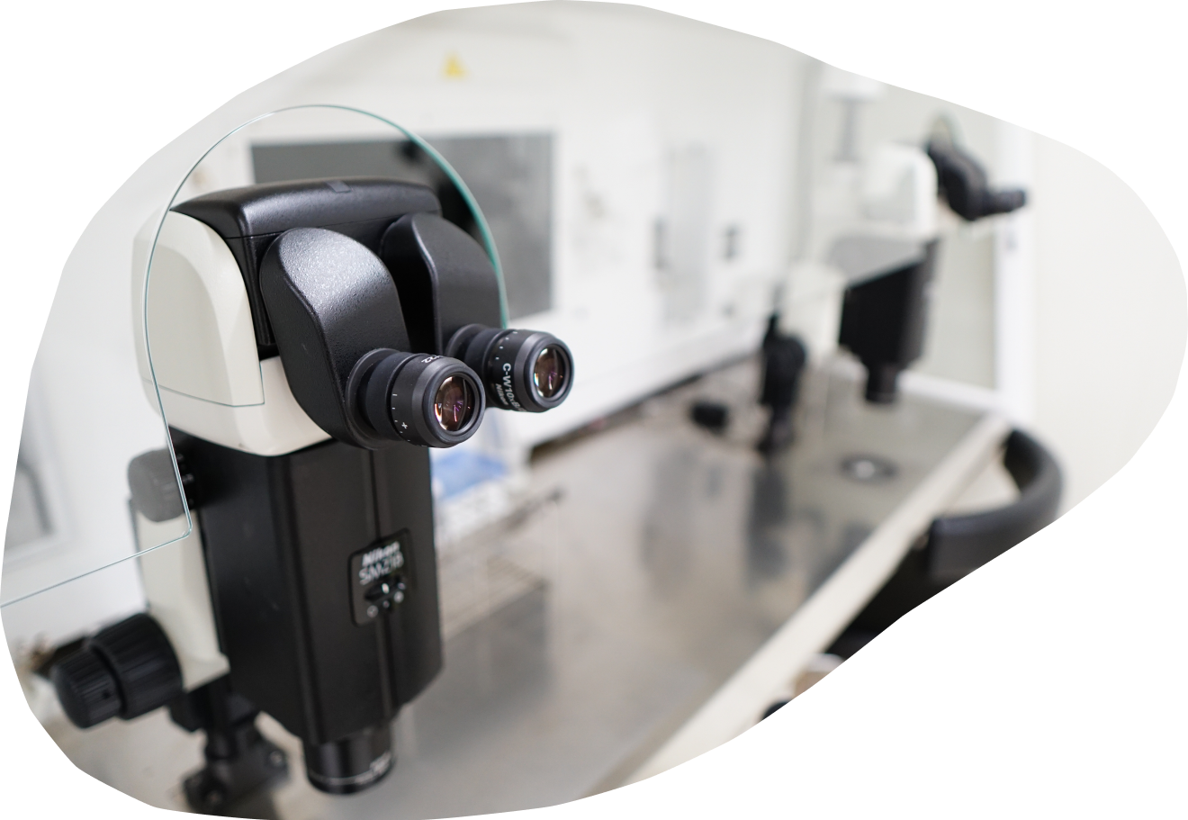 男性不妊外来・男性ブライダルチェック