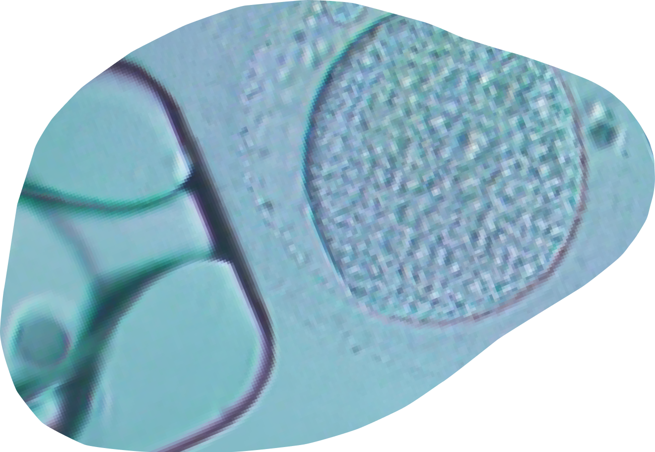 一般婦人科診療に幅広く対応